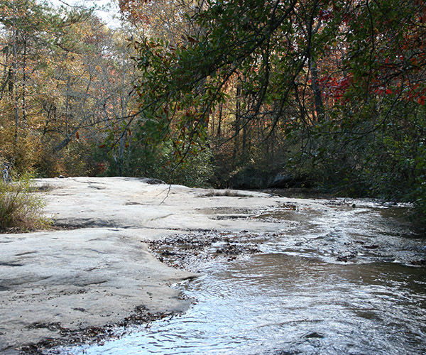 Harbins Park